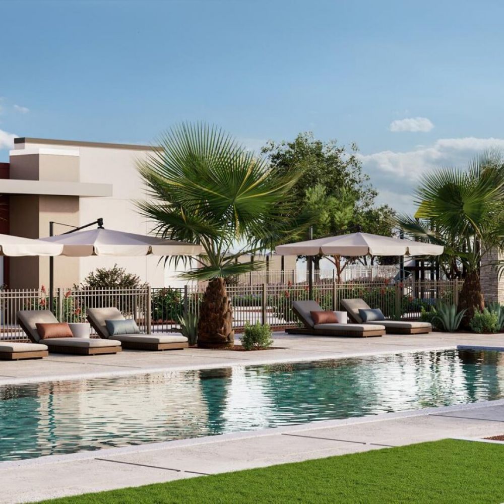 Outdoor pool with lounge chairs, umbrellas, palm trees, and a covered seating area on a sunny day.
